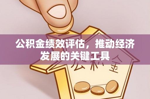 海西公积金绩效评估，推动经济发展的关键工具